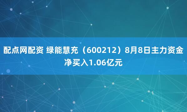 配点网配资 绿能慧充（600212）8月8日主力资金净买入1.06亿元